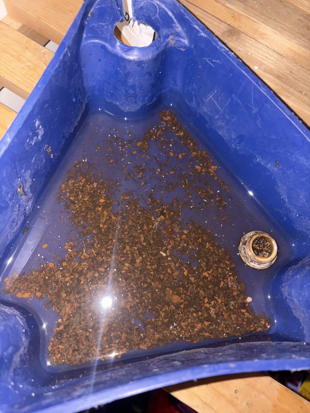 Debris flushed out of the system and collected in the tray.